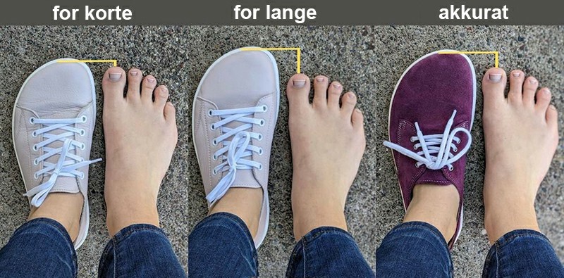 Barfußschuhe – Leitfaden zur Auswahl von Barfußschuhen